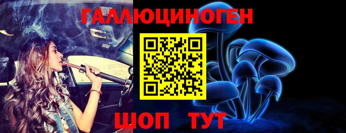 Псилоцибиновые грибы Cubensis Усолье-Сибирское